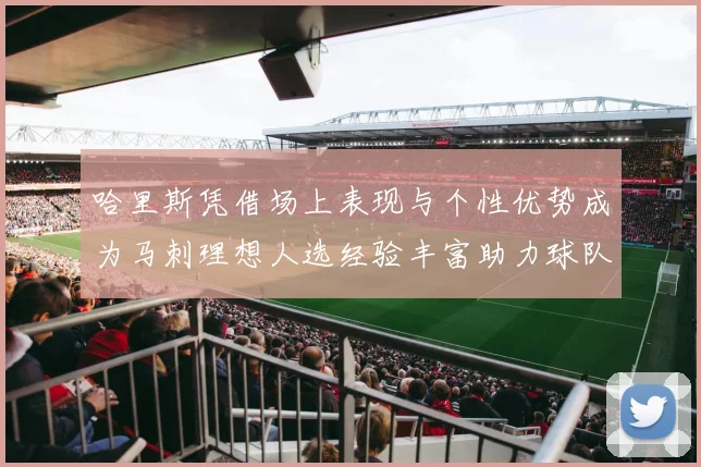 哈里斯凭借场上表现与个性优势成为马刺理想人选经验丰富助力球队发展