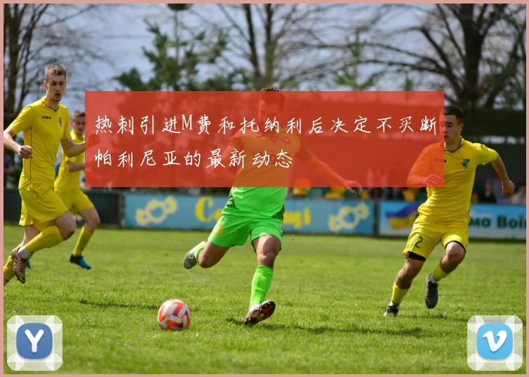 热刺引进M费和托纳利后决定不买断帕利尼亚的最新动态