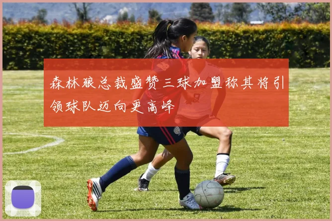 森林狼总裁盛赞三球加盟称其将引领球队迈向更高峰