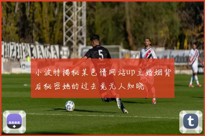 小波特揭秘某色情网站up主婚姻背后秘密她的过去竟无人知晓